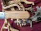 Preview: Messer mit Holzgriff 5008